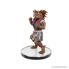 Dungeons and Dragons Minis - Icons of the Realms - Planescape - Adventures in the Multiverse Character Set (Pre-Order) available at 401 Games Canada