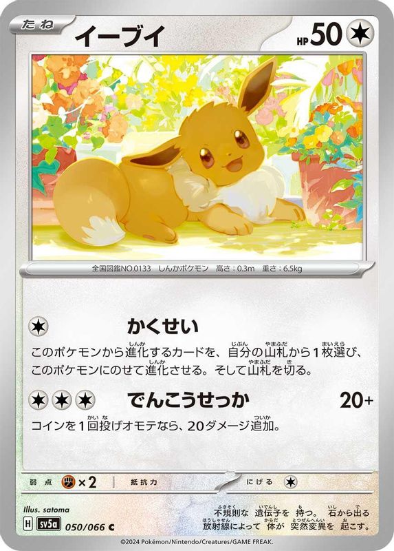 Eevee (Japanese) - 050/066 - Common