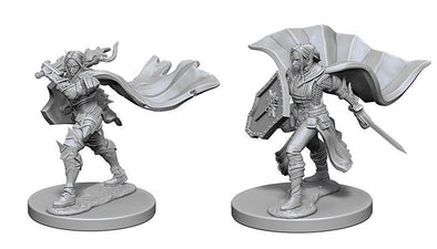 Elf Female Paladin - Pathfinder Deep Cuts Unpainted Minis available at 401 Games Canada