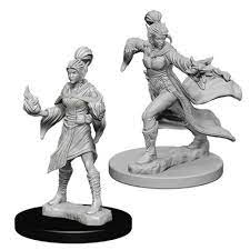 Elf Female Sorcerer - Pathfinder Deep Cuts Unpainted Minis available at 401 Games Canada