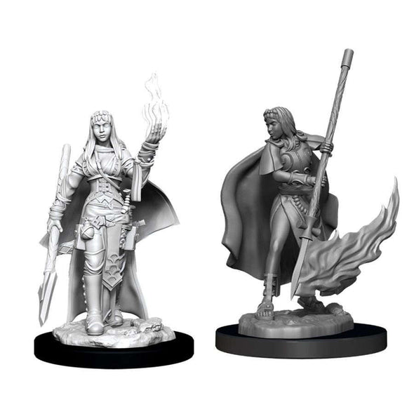 Female Human Oracle - Pathfinder Deep Cuts Unpainted Minis available at 401 Games Canada