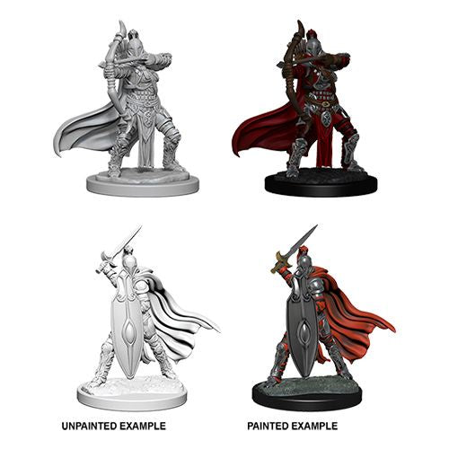 Female Knights/ Gray Maidens - Pathfinder Deep Cuts Unpainted Minis available at 401 Games Canada