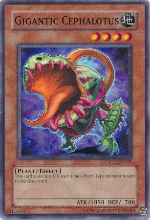Gigantic Cephalotus - CSOC-EN025 - Common - Unlimited available at 401 Games Canada