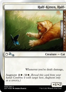 Canada's Source for MTG Cards and Magic The Gathering Sealed!