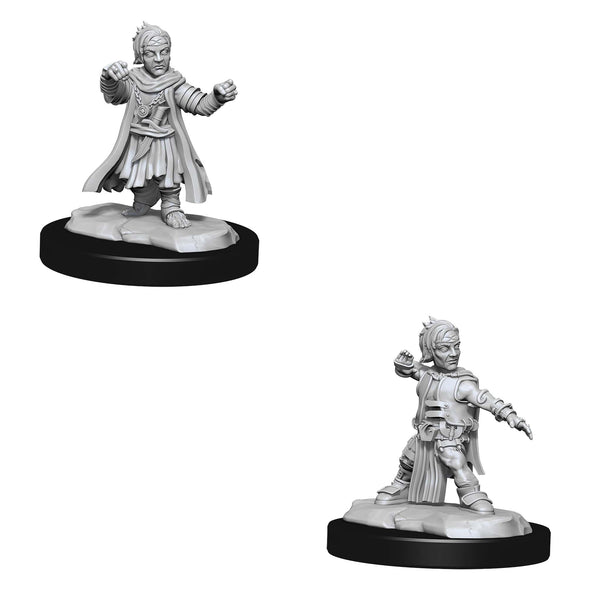 Halfling Monk Male - Pathfinder Deep Cuts Unpainted Minis available at 401 Games Canada