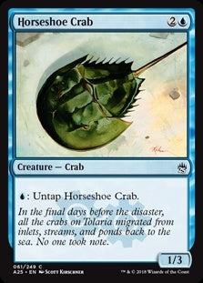 Canada's Source for MTG Cards and Magic The Gathering Sealed!