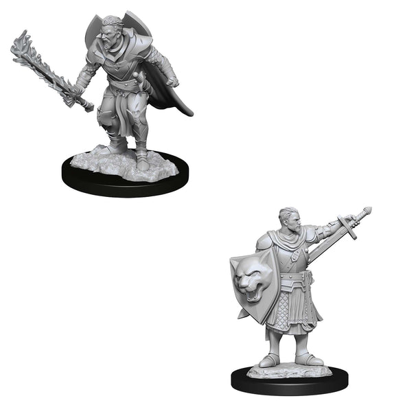 Human Champion Male - Pathfinder Deep Cuts Unpainted Minis available at 401 Games Canada