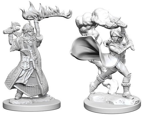 Human Female Cleric - Pathfinder Deep Cuts Unpainted Minis available at 401 Games Canada