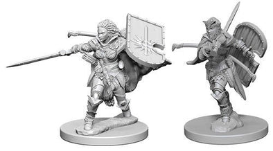 Human Female Paladin - Pathfinder Deep Cuts Unpainted Minis available at 401 Games Canada