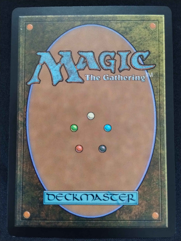 Vivien, Champion of the Wilds - Japanese Alternate Art Prerelease Foil - War of the Spark - NM