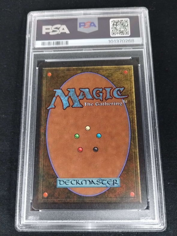 Swamp (C) - Summer Magic - PSA Graded 8 101370268