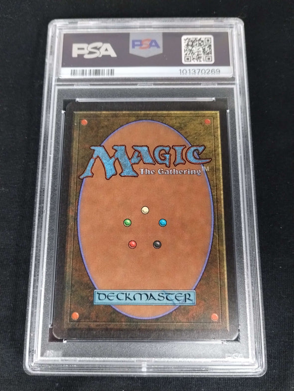 Swamp (C) - Summer Magic - PSA Graded 8 101370269