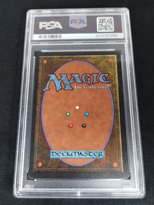 Forest (A) - Summer Magic - PSA Graded 8 101370266