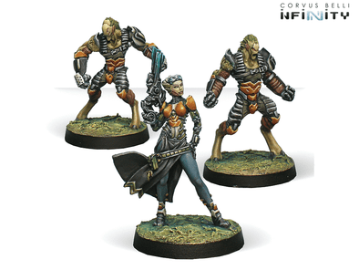 Infinity - NA2 - Tohaa Support Pack available at 401 Games Canada