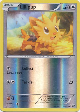 Lillipup - 81/114 - Common - Reverse Holo available at 401 Games Canada