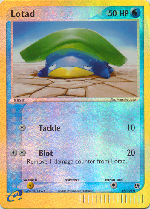 Lotad - 67/100 - Common - Reverse Holo available at 401 Games Canada