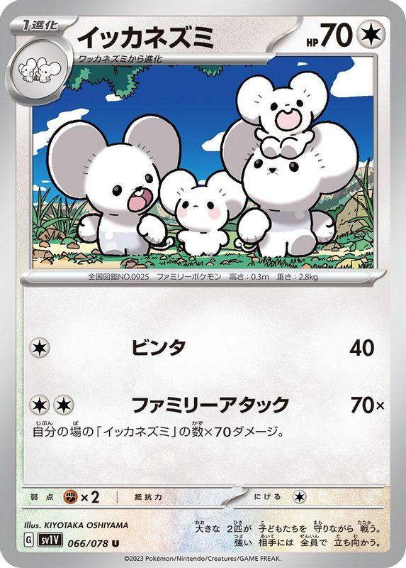 Maushold (Japanese) - 066/078 - Uncommon