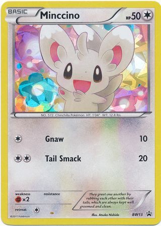 Minccino - BW13 - Shattered Holo - Promo available at 401 Games Canada