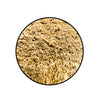 Monument Hobbies - Pro Acryl Basing Texture - Golden Earth: Fine available at 401 Games Canada