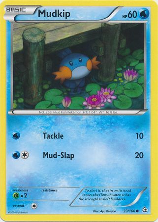 Mudkip - 33/160 - Common available at 401 Games Canada