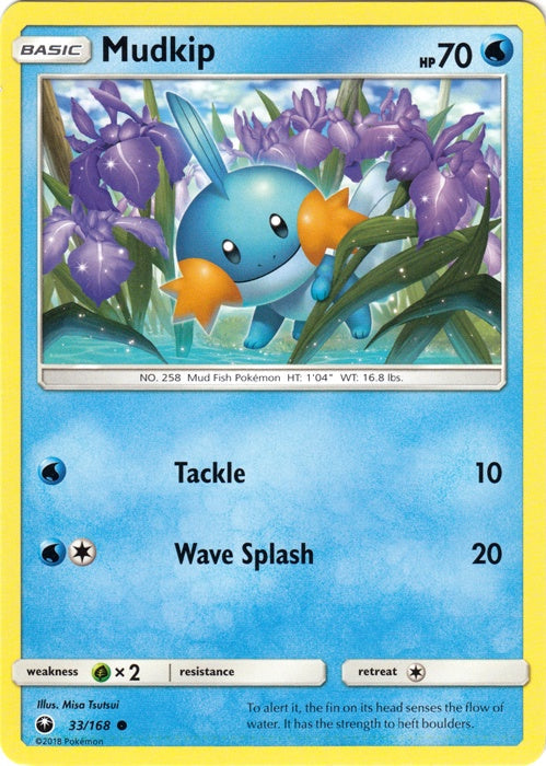 Mudkip - 33/168 - Common available at 401 Games Canada