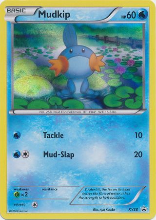 Mudkip - XY38 - Holo Promo available at 401 Games Canada