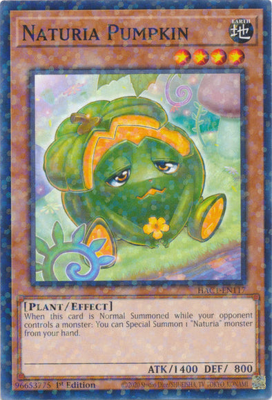 Naturia Pumpkin - HAC1-EN117 - Duel Terminal Normal Parallel Rare available at 401 Games Canada