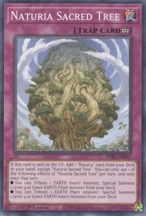 Naturia Sacred Tree - SDBT-EN037 - Common - 1st Edition available at 401 Games Canada