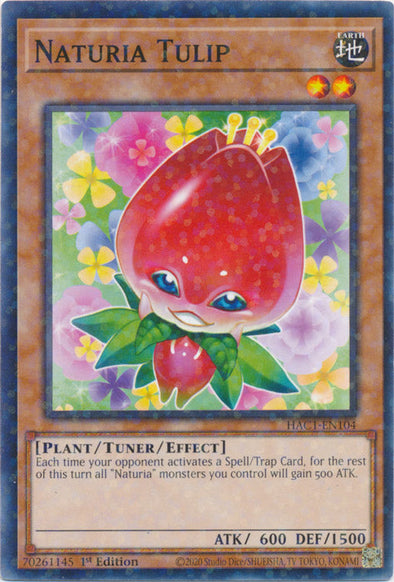 Naturia Tulip - HAC1-EN104 - Duel Terminal Normal Parallel Rare available at 401 Games Canada