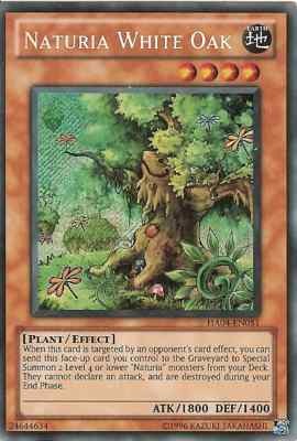 Naturia White Oak - HA04-EN051 - Secret Rare - Unlimited available at 401 Games Canada