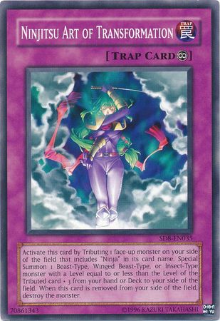 Ninjitsu Art of Transformation - SD8-EN035 - Common - Unlimited available at 401 Games Canada