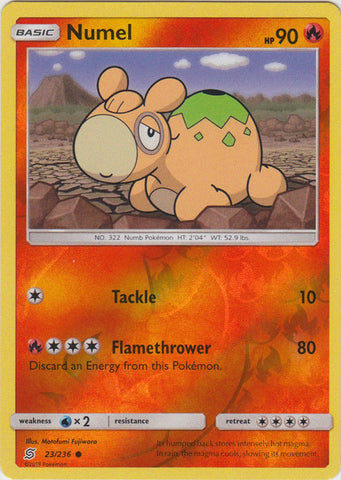 Numel - 23/236 - Common - Reverse Holo available at 401 Games Canada