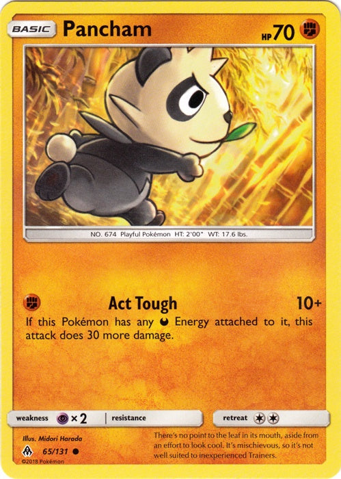 Pancham - 65/131 - Common available at 401 Games Canada