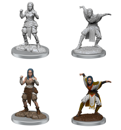 Pathfinder Battles - Half-Elf Monk Female available at 401 Games Canada
