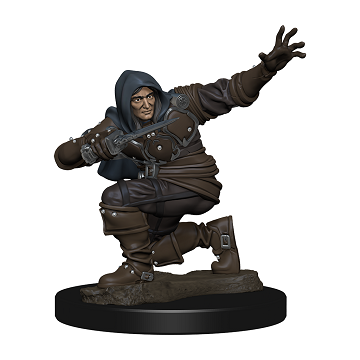 Pathfinder Battles Premium Minis - Human Male Rogue available at 401 Games Canada