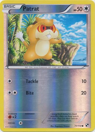 Patrat - 77/114 - Common - Reverse Holo available at 401 Games Canada