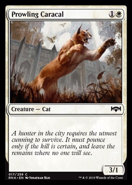 Canada's Source for MTG Cards and Magic The Gathering Sealed!