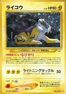 Raikou (Japanese) - 243 - Holo Rare