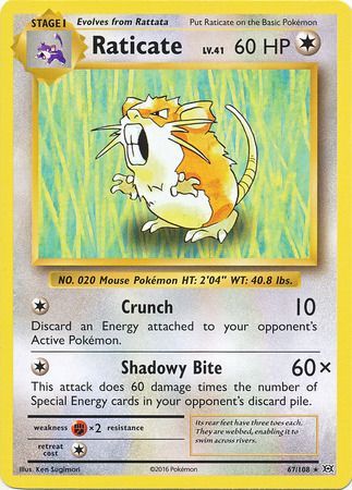 Raticate - 67/108 - Rare available at 401 Games Canada