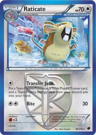 Raticate - 88/116 - Rare available at 401 Games Canada