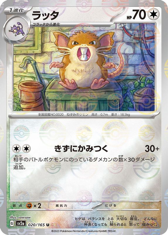 Raticate (Poke Ball Pattern) (Japanese) - 020/165 - Uncommon