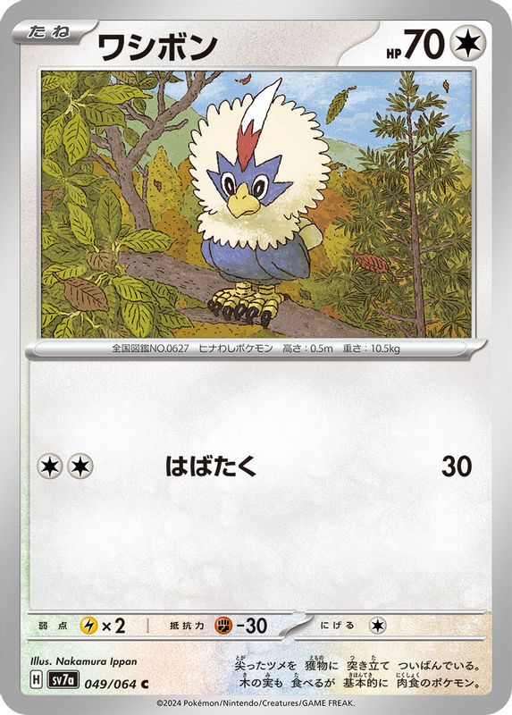 Rufflet (Japanese) - 049/064 - Common
