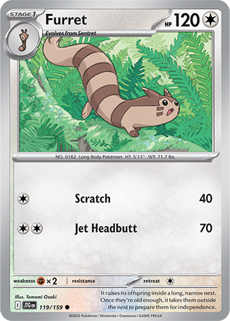 Furret - 119/159 - Common