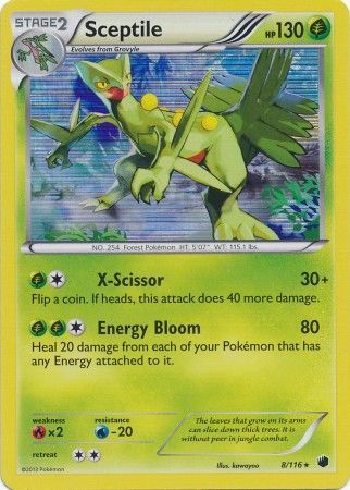 Sceptile - 8/116 - Holo Rare available at 401 Games Canada