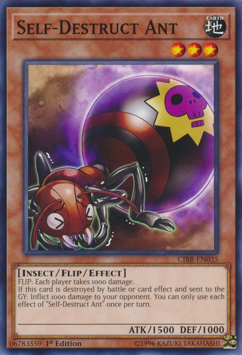 Self-Destruct Ant - CIBR-EN035 - Common - 1st Edition available at 401 Games Canada