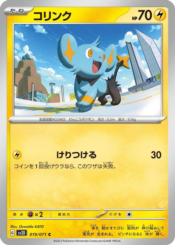Shinx (Japanese) - 019/071 - Common