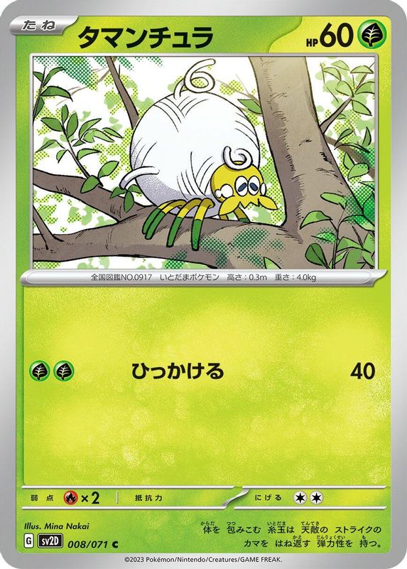 Tarountula (Japanese) - 008/071 - Common