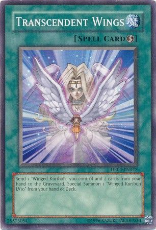 Transcendent Wings - DR04 - EN045 - Common available at 401 Games Canada