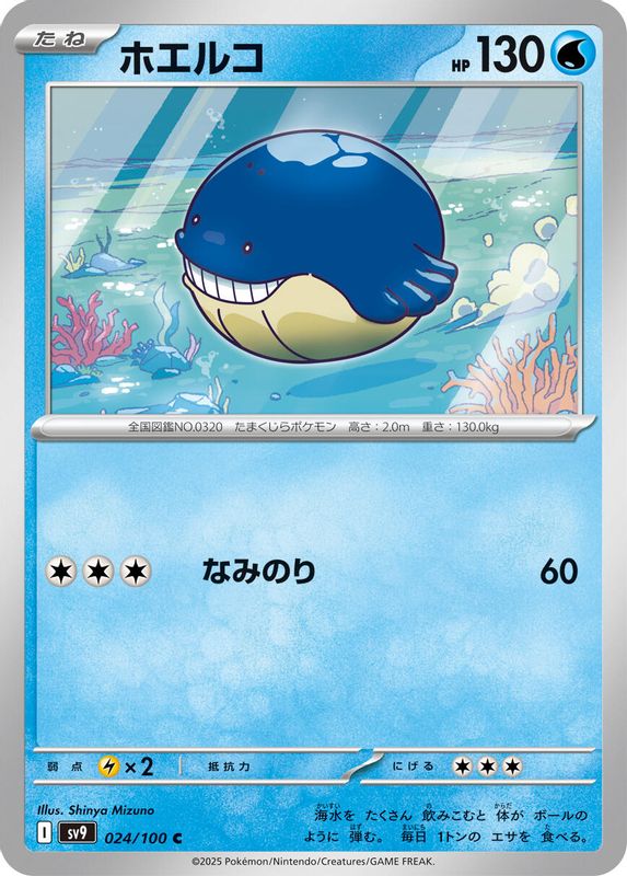Wailmer (Japanese) - 024/100 - Uncommon