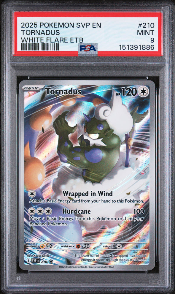 TORNADUS (210) - POKEMON SVP EN-SV BLACK STAR PROMO - WHITE FLARE ETB - MINT 9